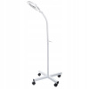 Kozmetická stolná lampa Beauty System BR-663G 100 W biela Kozmetická stolná lampa Beauty System BR-663G 100 W biela