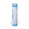 STAPHYLOCOCCINUM - Staphylococcinum gra.1 x 4 g 9CH STAPHYLOCOCCINUM - Staphylococcinum gra.1 x 4 g 9CH