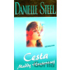 Cesta Maddy Hunterovej - Danielle Steel Cesta Maddy Hunterovej - Danielle Steel