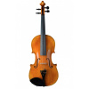 Violin Schönbach - Golden - Housle Violin Schönbach - Golden - Housle