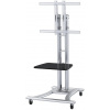 Neomounts PLASMA-M1800E / Mobile Flat Screen Floor Stand (height: 110-180 cm) / Silver Neomounts PLASMA-M1800E / Mobile Flat Screen Floor Stand (height: 110-180 cm) / Silver