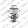 Termostat chladenia CALORSTAT by Vernet TH6294.88J Termostat chladenia CALORSTAT by Vernet TH6294.88J