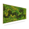 Machový obraz Light Anento, 120x60cm, drevený svetlohnedý rám Machový obraz Light Anento, 120x60cm, drevený svetlohnedý rám