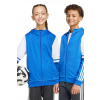 Detská mikina adidas Performance JD4802 modrá 176 Detská mikina adidas Performance JD4802 modrá 176