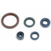 sada gufier motora, ATHENA P400220400255 (sada 5ks), HUSQVARNA TE 250 03-09 sada gufier motora, ATHENA P400220400255 (sada 5ks), HUSQVARNA TE 250 03-09