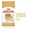 ROYAL CANIN Labrador Retriever Adult 5+ 2x12kg suché krmivo pre dospelých labradorských retrieverov nad 5 rokov