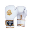 Boxerské rukavice DBX BUSHIDO DBD-B-2 veľ.10 oz Boxerské rukavice DBX BUSHIDO DBD-B-2 veľ.10 oz