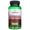 Swanson L-Carnosine 500 mg, 60 kapsúl Swanson L-Carnosine 500 mg, 60 kapsúl