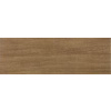 Pamesa ALPI CASTANO 20x60 dlažba matná 01.670.340.0798 Pamesa ALPI CASTANO 20x60 dlažba matná 01.670.340.0798