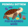 Pod hladinou moře Poznávej dotykem Pod hladinou moře Poznávej dotykem
