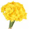 Narcis narcisy kytica 24 kvetov 40 cm ako živé Narcis narcisy kytica 24 kvetov 40 cm ako živé