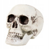Boland dekoratívna lebka smrti s pohyblivou čeľusťou Boland dekoratívna lebka smrti s pohyblivou čeľusťou