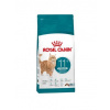 Royal Canin Ageing Sterilised 11+ 2 kg Royal Canin Ageing Sterilised 11+ 2 kg