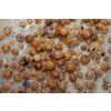 LK Baits N.H.D.C. Tiger Nuts Mix nakladaný 3kg LK Baits N.H.D.C. Tiger Nuts Mix nakladaný 3kg