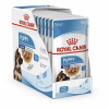 Royal Canin Maxi Puppy Gravy 10 x 140g Royal Canin Maxi Puppy Gravy 10 x 140g