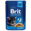 Brit Premium Cat Sáčky s kúskami kuracieho mäsa pre mačiatka 24 x 100 g Brit Premium Cat Sáčky s kúskami kuracieho mäsa pre mačiatka 24 x 100 g
