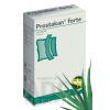 PROSTAKAN FORTE cps mol 160 mg/120 mg (blis.PVC/PVDC/Al) 1x60 ks PROSTAKAN FORTE cps mol 160 mg/120 mg (blis.PVC/PVDC/Al) 1x60 ks