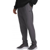 Under Armour | Under Armour Vanish Training Pant | šedá| S Under Armour | Under Armour Vanish Training Pant | šedá| S