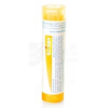 Boiron Antimonium Crudum CH15 4 g homeopatických granúl v tube Boiron Antimonium Crudum CH15 4 g homeopatických granúl v tube
