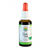 Salvia Paradise Gotu kola AF tinktura 30 ml Salvia Paradise Gotu kola AF tinktura 30 ml