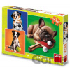 Puzzle 3x55 Psí sportovci - Dino Puzzle 3x55 Psí sportovci - Dino