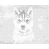 ZUTY Bodkovanie - HUSKY NA SIVOM POZADÍ Rámovanie: bez rámu a bez vypnutia plátna, Rozmer: 80x100 cm ZUTY Bodkovanie - HUSKY NA SIVOM POZADÍ Rámovanie: bez rámu a bez vypnutia plátna, Rozmer: 80x100 cm