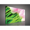 Obraz na plátne obdĺžnik - OB0116 - Tulipány 100cm x 75cm - O1 Obraz na plátne obdĺžnik - OB0116 - Tulipány 100cm x 75cm - O1