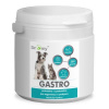 DROMY Gastro 250g DROMY Gastro 250g