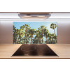 Panel do kuchyne Vysoké palmy 100x50 cm Panel do kuchyne Vysoké palmy 100x50 cm