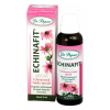 Dr. Popov Bylinné kapky Echinafit®, 50 ml Dr. Popov Bylinné kapky Echinafit®, 50 ml