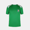 FIFA Kids Republic Of Ireland Short Sleeve T-Shirt Green 13 rokov FIFA Kids Republic Of Ireland Short Sleeve T-Shirt Green 13 rokov