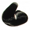BLACK Color Mousse Farebné penové tužidlo 200ml Black - čierné