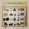 Velká vitrína vývoj života na Zemi Velká vitrína vývoj života na Zemi
