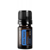 DoTerra Vratič (Blue Tansy) 5 ml DoTerra Vratič (Blue Tansy) 5 ml