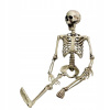SKELET ČLOVEKA VEĽKÝ S POHYBLIVÝMI ČASŤAMI 165 CM HALLOWEEN SKELET ČLOVEKA VEĽKÝ S POHYBLIVÝMI ČASŤAMI 165 CM HALLOWEEN