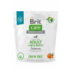 Brit Care Grain-free Adult Large Breed Salmon 1 kg Brit Care Grain-free Adult Large Breed Salmon 1 kg