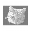 ZUTY Bodkovanie - ŠEDÁ MAČKA PORTRÉT Rámovanie: bez rámu a bez vypnutia plátna, Rozmer: 40x50 cm ZUTY Bodkovanie - ŠEDÁ MAČKA PORTRÉT Rámovanie: bez rámu a bez vypnutia plátna, Rozmer: 40x50 cm