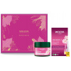 Weleda divoká růže a bílý čaj rozjasňující denní krém 40 ml + intenzivní kúra pro zpevnění pleti 7 x 0,8 ml Weleda divoká růže a bílý čaj rozjasňující denní krém 40 ml + intenzivní kúra pro zpevnění pleti 7 x 0,8 ml