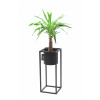 Stojan na kvety - Kvetinový Metal Ugo 60cm Black Loft Hit (Stojan na kvety - Kvetinový Metal Ugo 60cm Black Loft Hit) Stojan na kvety - Kvetinový Metal Ugo 60cm Black Loft Hit (Stojan na kvety - Kvetinový Metal Ugo 60cm Black Loft Hit)