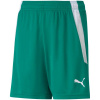 Trenky Puma teamLIGA Shorts Jr 704931 05 Trenky Puma teamLIGA Shorts Jr 704931 05