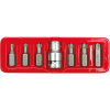 Vorel TO-66570 Sada bitů 7 ks CrV TORX Vorel TO-66570 Sada bitů 7 ks CrV TORX