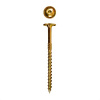 Skrutky do drevostavby 5x50 cylinder Torx zž Skrutky do drevostavby 5x50 cylinder Torx zž