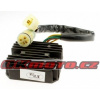 TOURMAX Regulátor napätia RGU-125 TOURMAX Regulátor napätia RGU-125