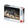 Dino ČIERNY KÔŇ 1000 Puzzle Dino ČIERNY KÔŇ 1000 Puzzle