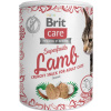 Pamlsky pro kočky Brit Care Cat Snack Superfruits Lamb, 100 g Pamlsky pro kočky Brit Care Cat Snack Superfruits Lamb, 100 g