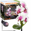 Orchidea záhradné solárne LED svietidlo 75 cm, 600 mAh Orchidea záhradné solárne LED svietidlo 75 cm, 600 mAh