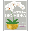 Spokojná orchidea - Rittershausen Sara Spokojná orchidea - Rittershausen Sara