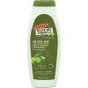Palmer`s Olive Oil Formula vyživující a vyhlazující šampon na bázi extra panenského olivového oleje 400 ml Palmer`s Olive Oil Formula vyživující a vyhlazující šampon na bázi extra panenského olivového oleje 400 ml