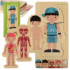 KIK KX5957_1 Drevené puzzle Montessori časti tela chlapec KIK KX5957_1 Drevené puzzle Montessori časti tela chlapec