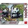 DINO Puzzle Secret Collection: Pandy 1000 dielikov DINO Puzzle Secret Collection: Pandy 1000 dielikov